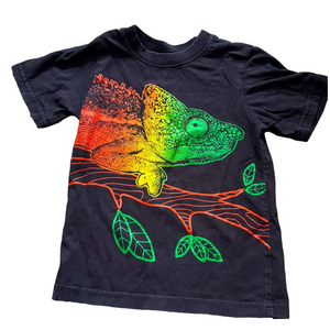 Children’s Place Kids Chameleon Graphic T-Shirt